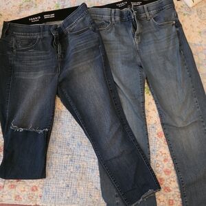 Torrid Women's Bombshell Straight & Skinny Jeans - Washed Blue